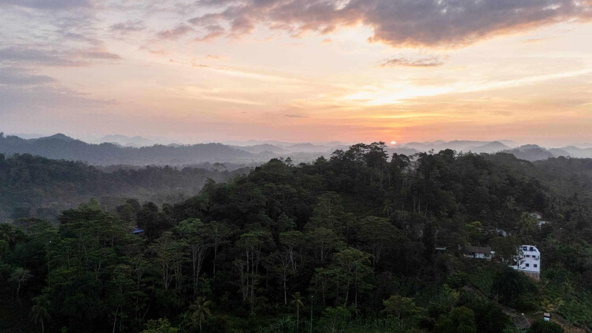 Camellia Ranch - Baddegama - Gallery 4