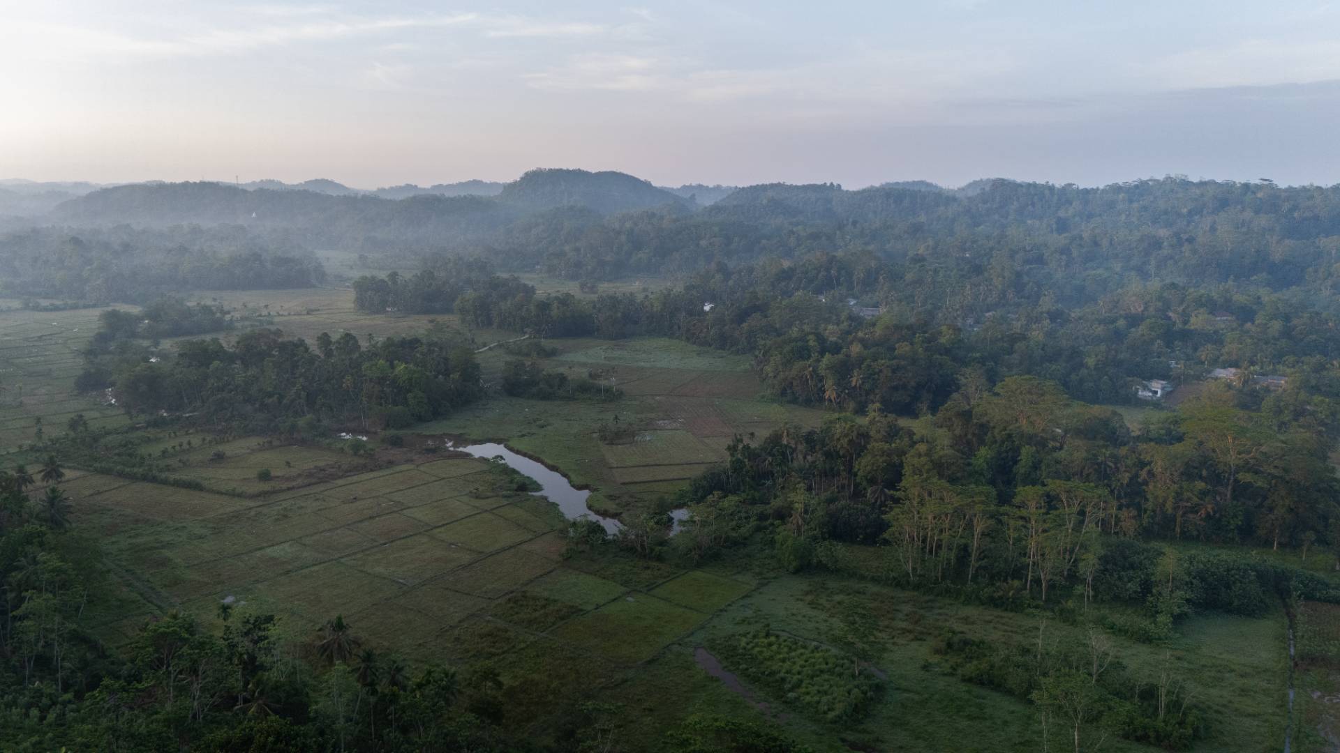 Camellia Ranch - Baddegama - Gallery 6