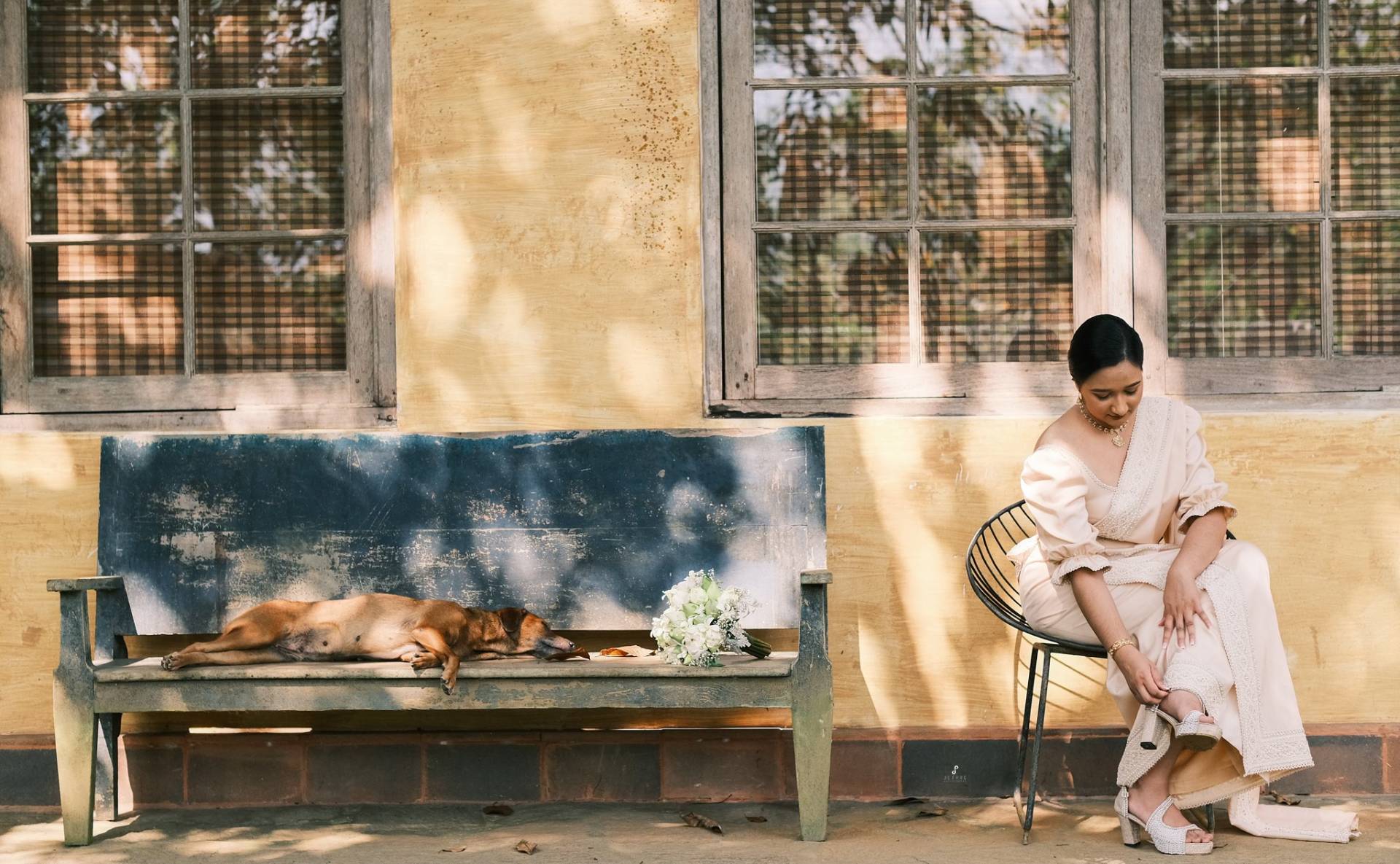 Jethro Photography - Gallery 6