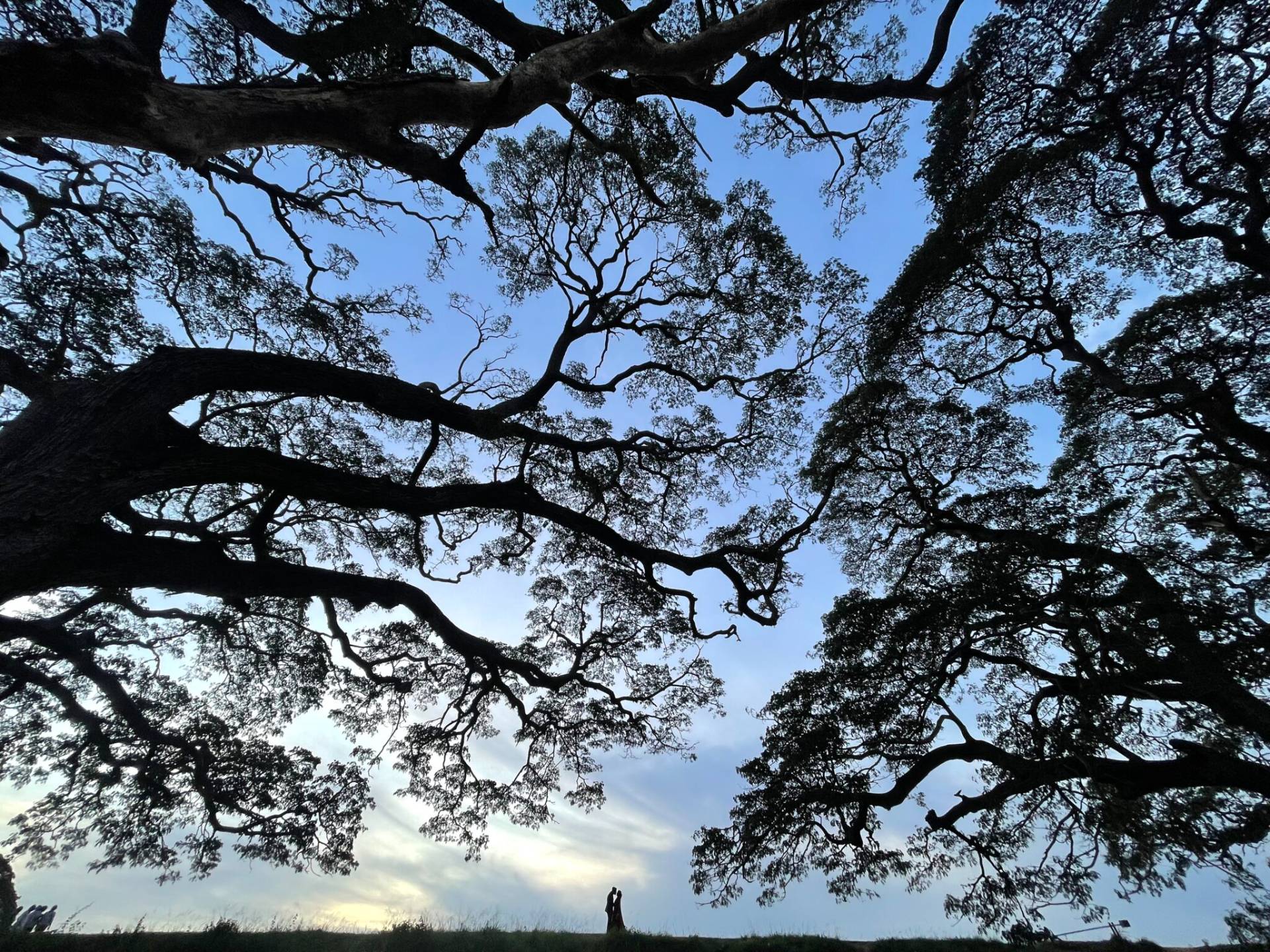 Jethro Photography - Gallery 7