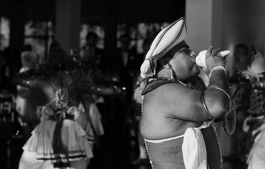 Jethro Photography - Gallery 12