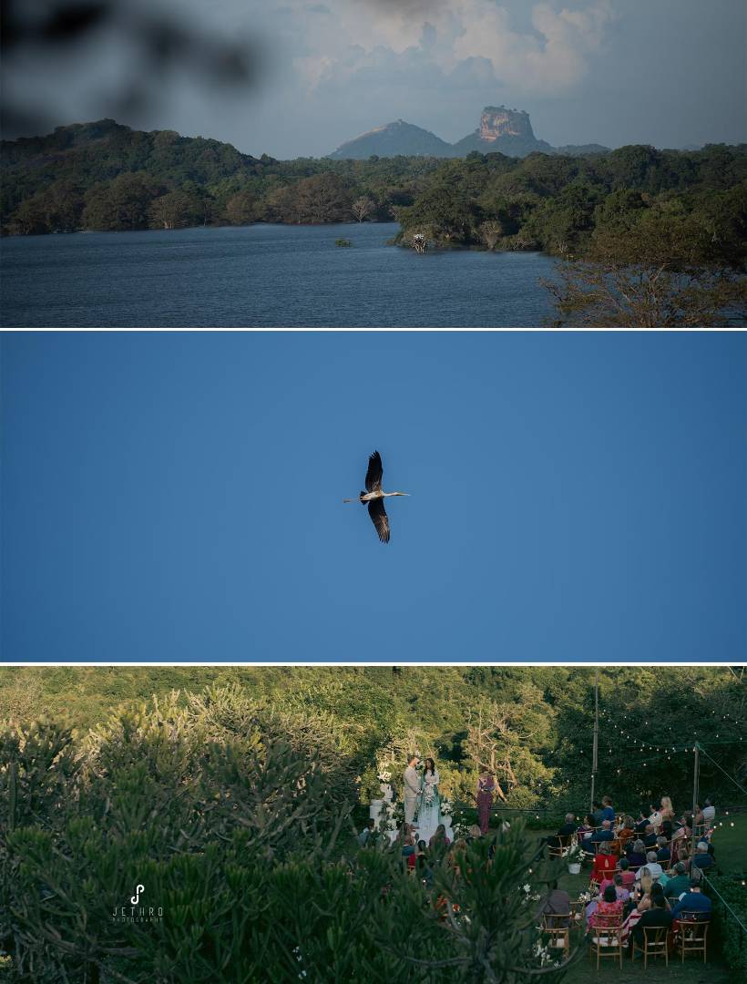 Jethro Photography - Gallery 13