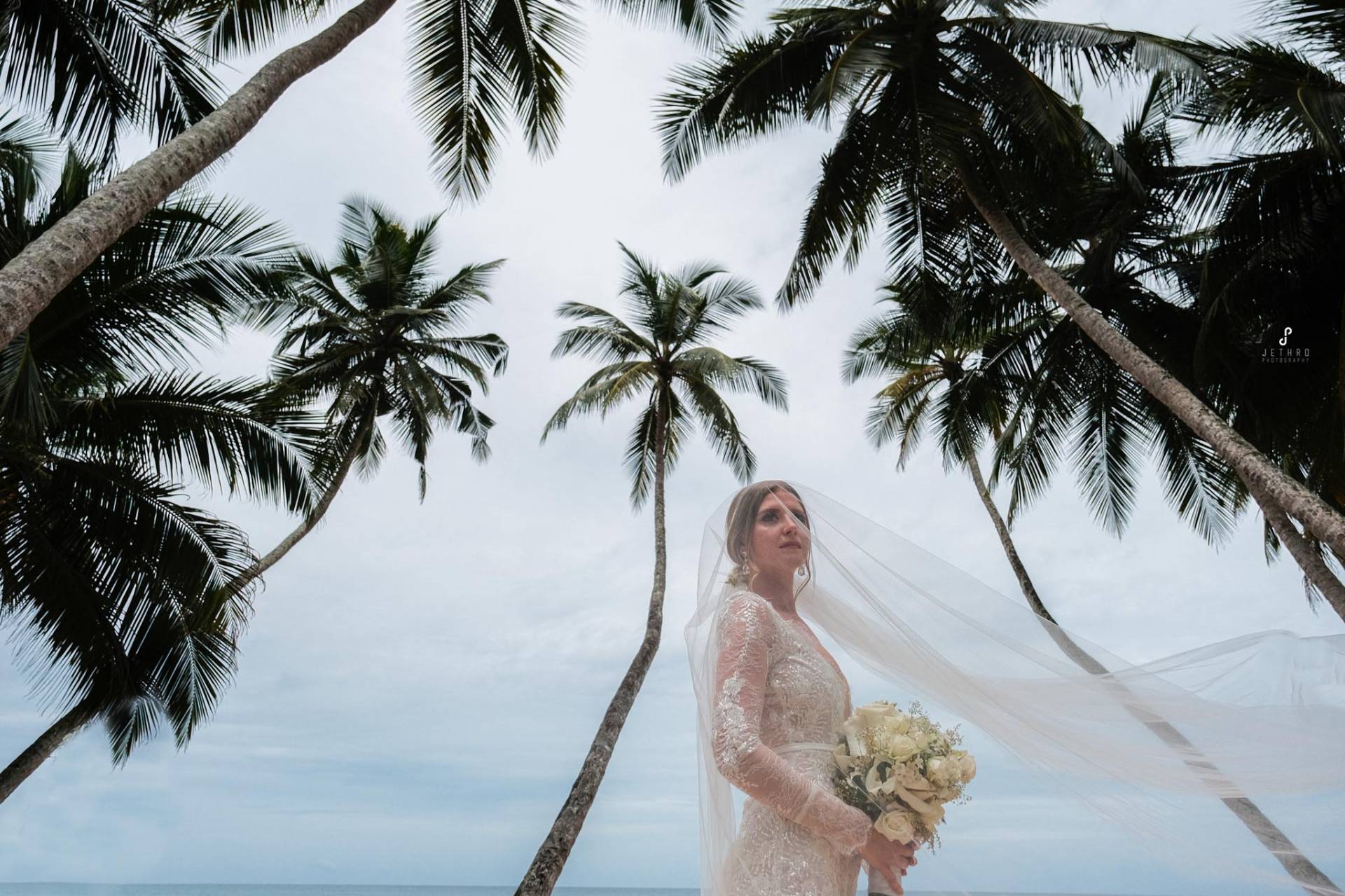 Jethro Photography - Gallery 8