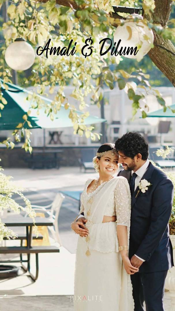 PIXALITE - Gallery 8