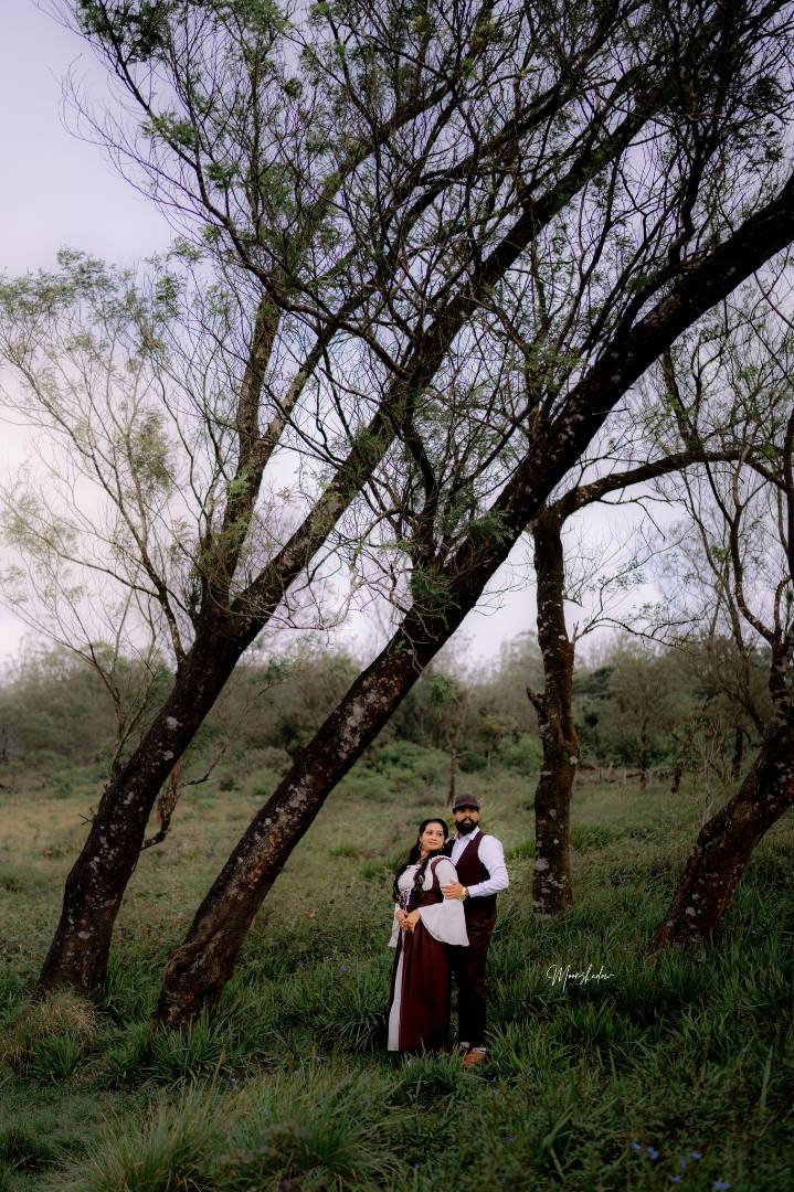 Moonshadow studio - Gallery 5