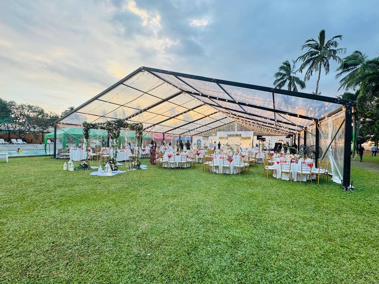 Marji Flora - Gallery 8