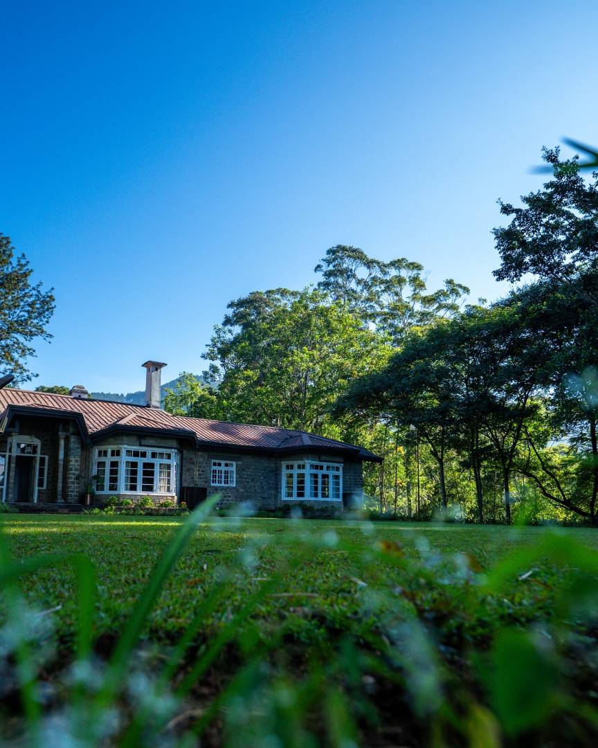 The Lavender House - Gallery 10