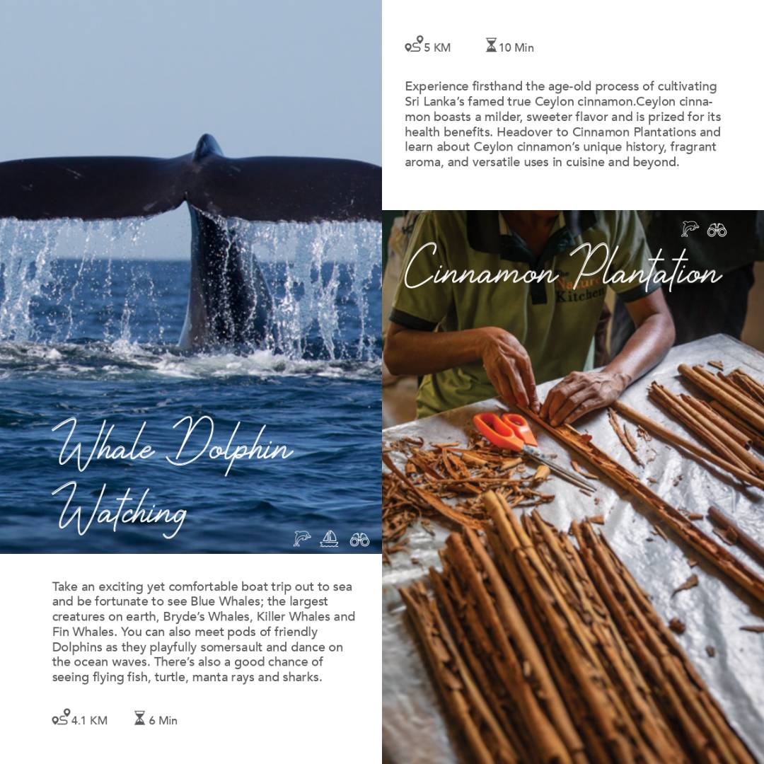 Experiences gallery 3